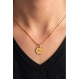 925 Ayar Gümüş Kolye Altın Kaplama Yılan Zincirli Minimal Tuğralı Kolye Reşat Altın Sikke Model Sgtl13409gold