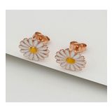 925 Ayar Gümüş Papatya Küpe Rose Gold