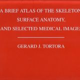A Brief Atlas of the Skeleton, Surface Anatomy and Selected Medical Images
