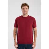 A Club Aclub Zulu Örme Kumaş Viskon Karışımlı Slim Fit Kırmızı Bisiklet Yaka Erkek Düz T-Shirt - XL