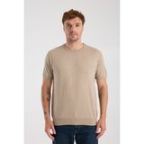 A Club Aclub Zulu Örme Kumaş Viskon Karışımlı Slim Fit Vizon Bisiklet Yaka Erkek Düz T-Shirt - XL