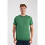 A Club Aclub Zulu Örme Kumaş Viskon Karışımlı Slim Fit Yeşil Bisiklet Yaka Erkek Düz T-Shirt - XL