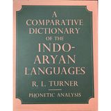 A Comparative Dictionary of the Indo-Aryan Languages III: Volume 3: Phonetic Analysis
