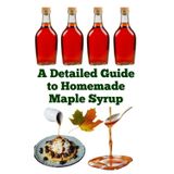 A Detailed Guide to Homemade Maple Syrup