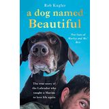A Dog Named Beautiful: The true story of the Labrador who taught a Marine to love life again