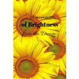 A moment of brightness from the dream: Elegant, feminine, lined journal for Women, Teens, Girls