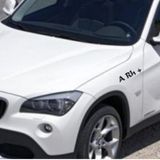 A RH + Pozitif Araba Kan Grubu Sticker
