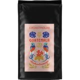 A Roasting Lab Guatemala Huehuetenango (1000 Gram) Filtre Kahve (Hario V60 Dripper)