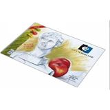 A.SPR.RSM.120.25 25X35 120 gr 15'li Karton Kapak Resim Defteri, Standart - 826 - Çok Renkli