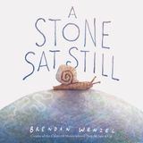 A Stone Sat Still - Brendan Wenzel