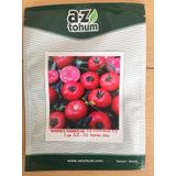 A-Z Tohum Domates Tohumu A-Z 16 F1 Oturak Tarla Domatesi - 20 Adet Tohumluk