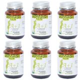 A1 L-carnitine Lepidium Bitkisel 30 Kapsül X 6 Adet