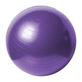 A101 Mor 55 cm Pilates Topu
