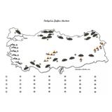 A3 Boy Dilsiz Türkiyenin Dağları Haritası Renksiz 10 Adet