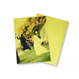A3 Gold Ultra Starfilm Fotoğraf Kağıdı 170Gr - 10 Sayfa