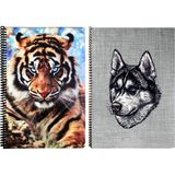 A4 Plastik P.p Kapak 120 Yaprak Kareli Desenli Telli Defter Seti - 2 li Set