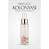 Ab-ı Gül Yaban Gülü Kolonyası 75 ML | Wild Rose Eau De Cologne - World of Roses