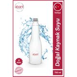 Abant Doğal Kaynak Suyu 6 x 750 ML