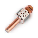 Abatech WS858 Karaoke Mikrofon - RENK - Rose Gold