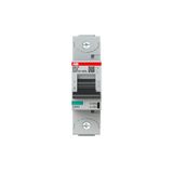 ABB 2CCG001228R0001 S801P-C 1x125A 50kA Otomatik Sigorta
