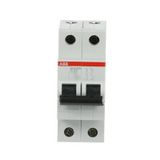 ABB 2CDS272011R0324 SH202M-C 2X32A 10kA Otomatik Sigorta