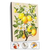 abbara Sayılarla Boyama Çerçeveli Hobi Seti Numaralı Tuval Fırça Boya Dahil Kasnaklı LİMON AĞACI 40X50 Cm