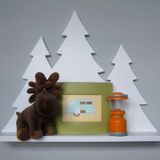 ABİES LAKE MONTESSORİ DUVAR RAFI