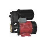 ABM Dayuan DGP130-B Hidrofor