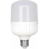abnturk Büyük Boy Bakyar Torch-50 W LED Ampul Beyaz 6500K Yüksek Işık Gücü Düşük Elektrik Tüketimi E 27 Standart Duylu Parlak Beyaz Işık
