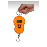 abnturk Hassas Mutfak Tartısı Dijital El Terazisi 50 Kg, krm20371504