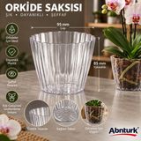 Abnturk Şeffaf Mini Orkide Saksısı-Dekoratif Şık Ev Balkon Çiçek Saksısı 95X85MM