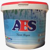 ABS 17.5 kg Tavan Boyası
