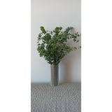 ABS Kuru Çiçek Şoklanmış Okaliptus Demeti Yeşil (50 Cm)