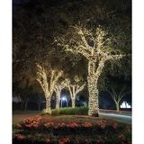 AC AYDINLATMA Animasyonlu Led Beyaz Işık 220v 10 Metre Ip44 Su Geçirmez