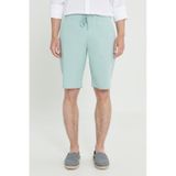 AC&Co / Altınyıldız Classics Erkek Açık Mint Yeşili Comfort Fit Rahat Kesim Yan Cepli Keten Şort Mint
