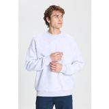 AC&Co / Altınyıldız Classics Erkek Kar Melanj Standart Fit Normal Kesim Içi Polarlı 3 Iplik Bisiklet Yaka Sweatshirt Kar Melanj, M