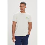 AC&Co / Altınyıldız Classics Erkek Sarı Standart Fit Normal Kesim Bisiklet Yaka Tişört - Sarı