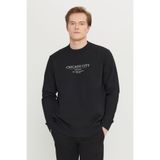 AC&Co / Altınyıldız Classics Erkek Siyah Standart Fit Normal Kesim 2 İplik Pamuklu Bisiklet Yaka Sweatshirt