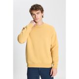 AC&Co / Altınyıldız Classics Standart Fit Normal Kesim İçi Polarlı Bisiklet Yaka Sweatshirt, Renk Hardal, Beden L