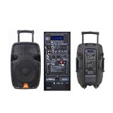 Ace Audıo PAQ-15AB 300 Watt Taşınabilir Şarjlı Amfi