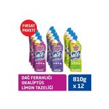 Ace Ultra Yoğun Kıvamlı Çamaşır Suyu Fırsat Paketi X 12 Adet