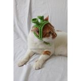 Açık Yeşil Shrek Bandana Şrek Örgü Kedi Köpek Şapkası Evcil Hayvan Şapkası Komik Pet Aksesuarları