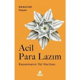 Acil Para Lazım - Kazanmanın Yol Haritası