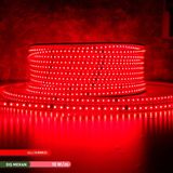 ACK 120 LED KIRMIZI DIŞ MEKAN ŞERİT LED IP65 (220V) - 100 m - Kırmızı