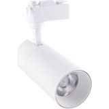 Ack 30 Watt LED Ray Spot Beyaz Kasa 3000K AD30-01100