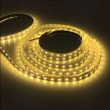ACK 5 mt Naturel Günışığı 12V 4040 60 Led İç Mekan Şerit Led