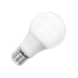 ACK AA13-01023 A60 6500K 10W Led Ampül
