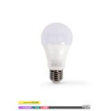 ACK AA13-01220 A70 3000K 12W Led Ampül