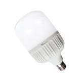 ACK AA13-04023 T120 6500K 220V 40W E27 Led Ampul