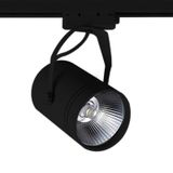ACK AD30-11901 Cob Osram 3000K Siyah 30W Led Spot